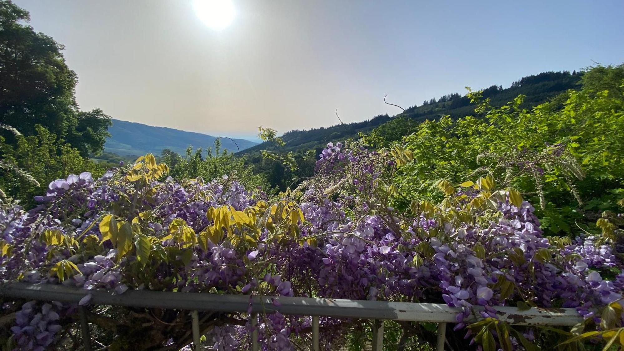 Gite Du Hameau D'Amignie Vernay Exteriér fotografie